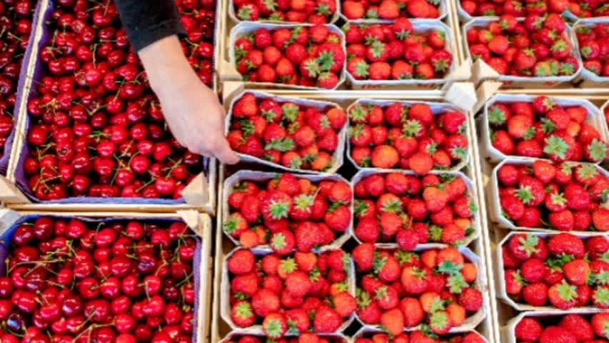 Фото - В России предрекли снижение урожая ягод