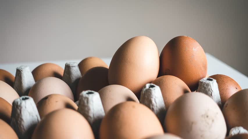 Фото - В Белоруссии опровергли решение сохранить свои яйца для снижения цен