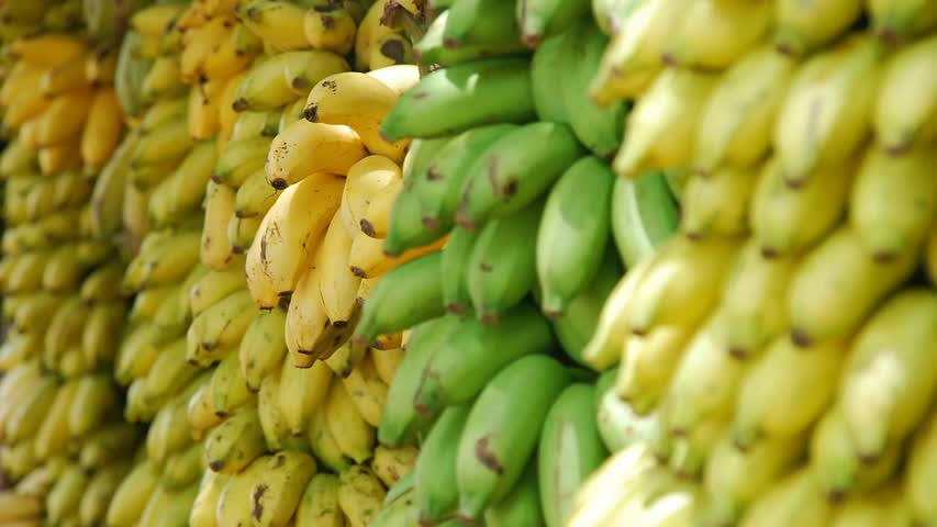 Фото - В России нашли новую возможность для доставки популярных фруктов из Эквадора